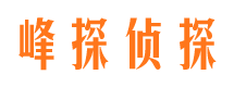 盐津市侦探调查公司